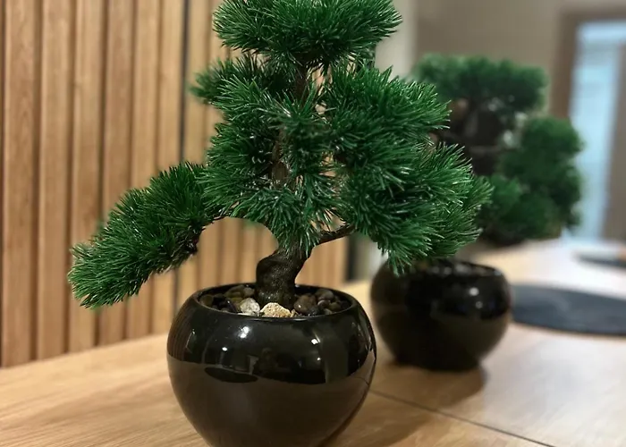 Gold Lux Apartmán Divčibare